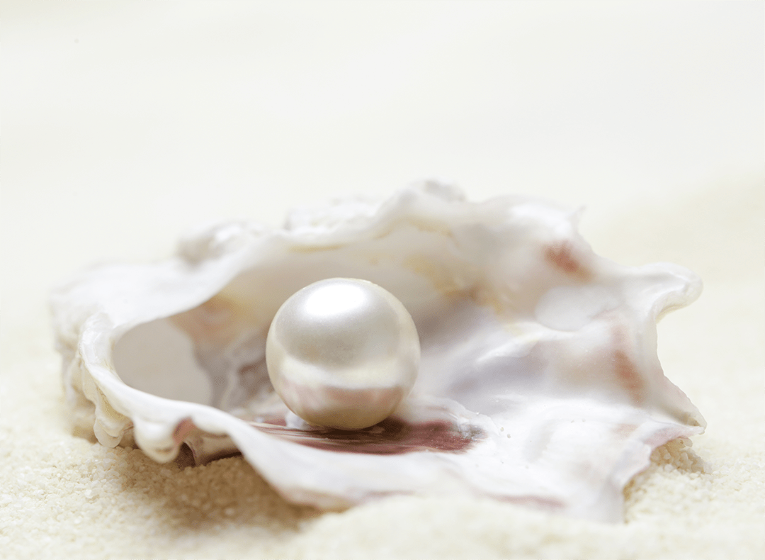 Картинки ракушка с жемчужиной