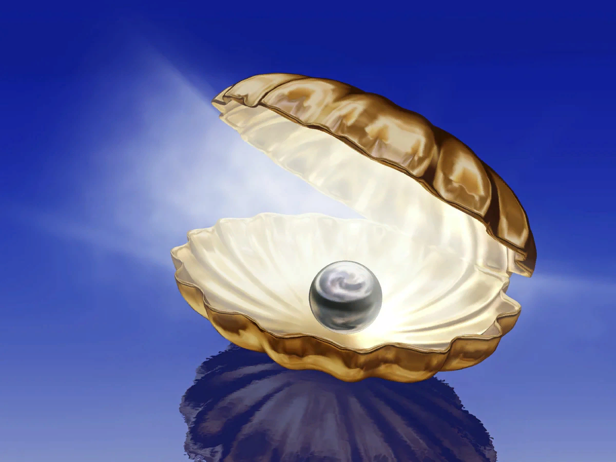 Ракушка с жемчужиной акварель