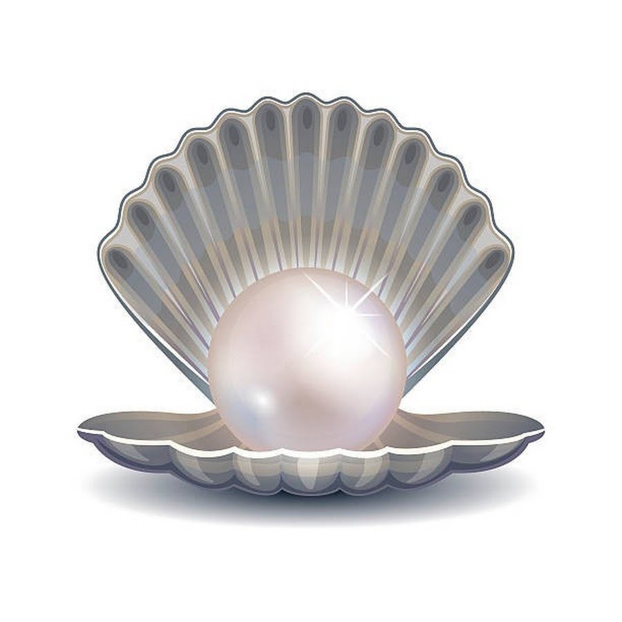 Жемчужина внутри раковины