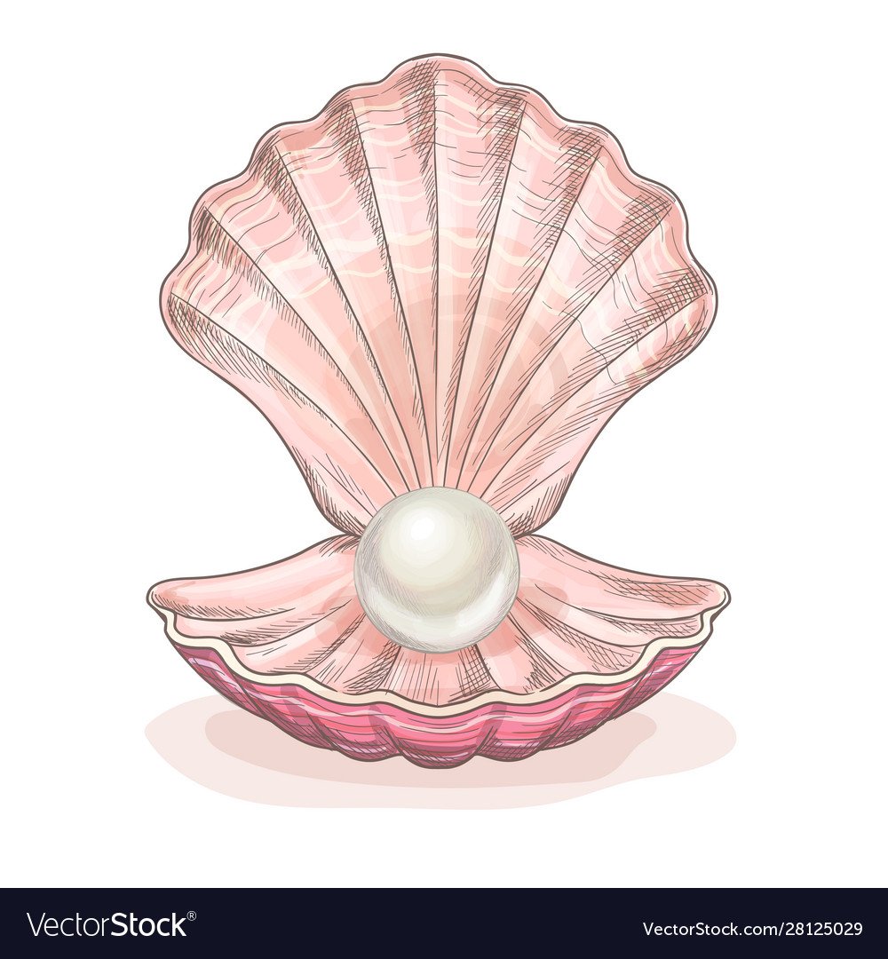 Морская Ракушка с жемчужиной