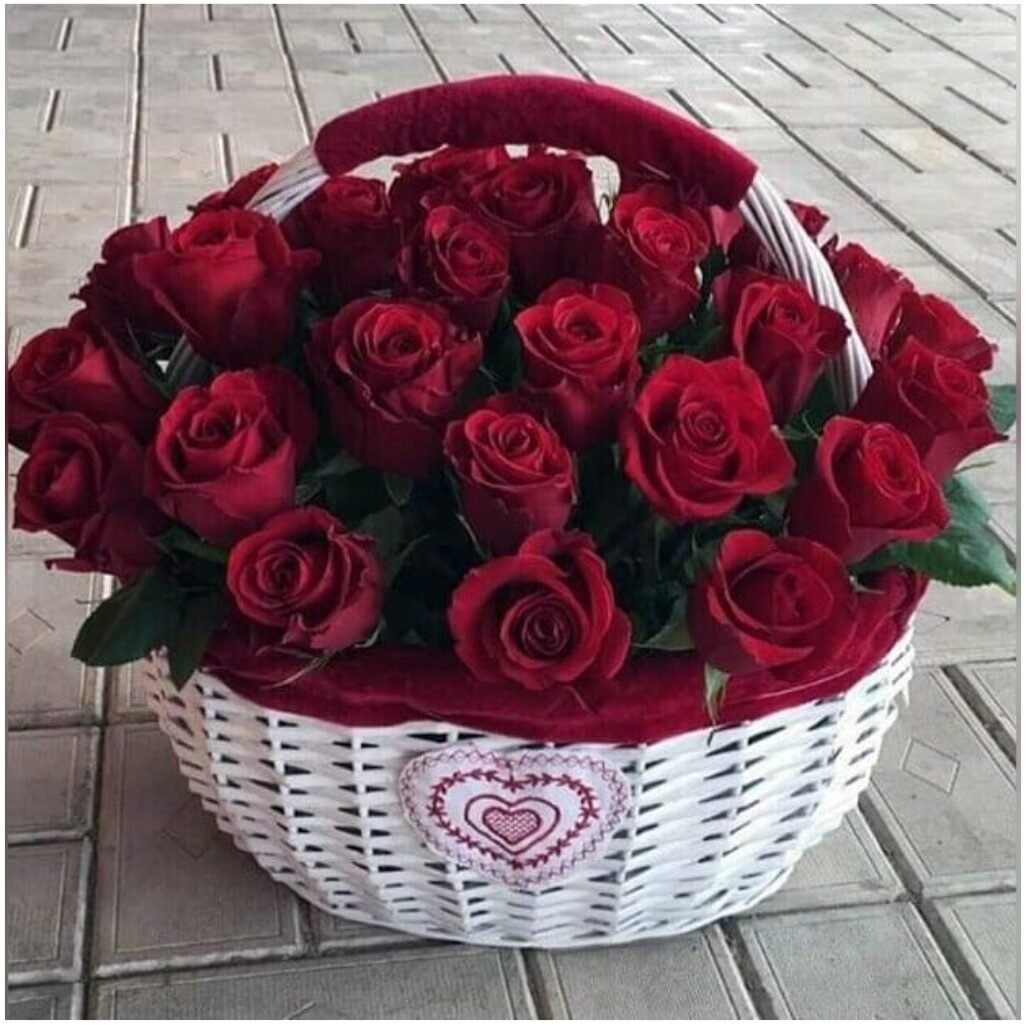 Огромная корзина роз