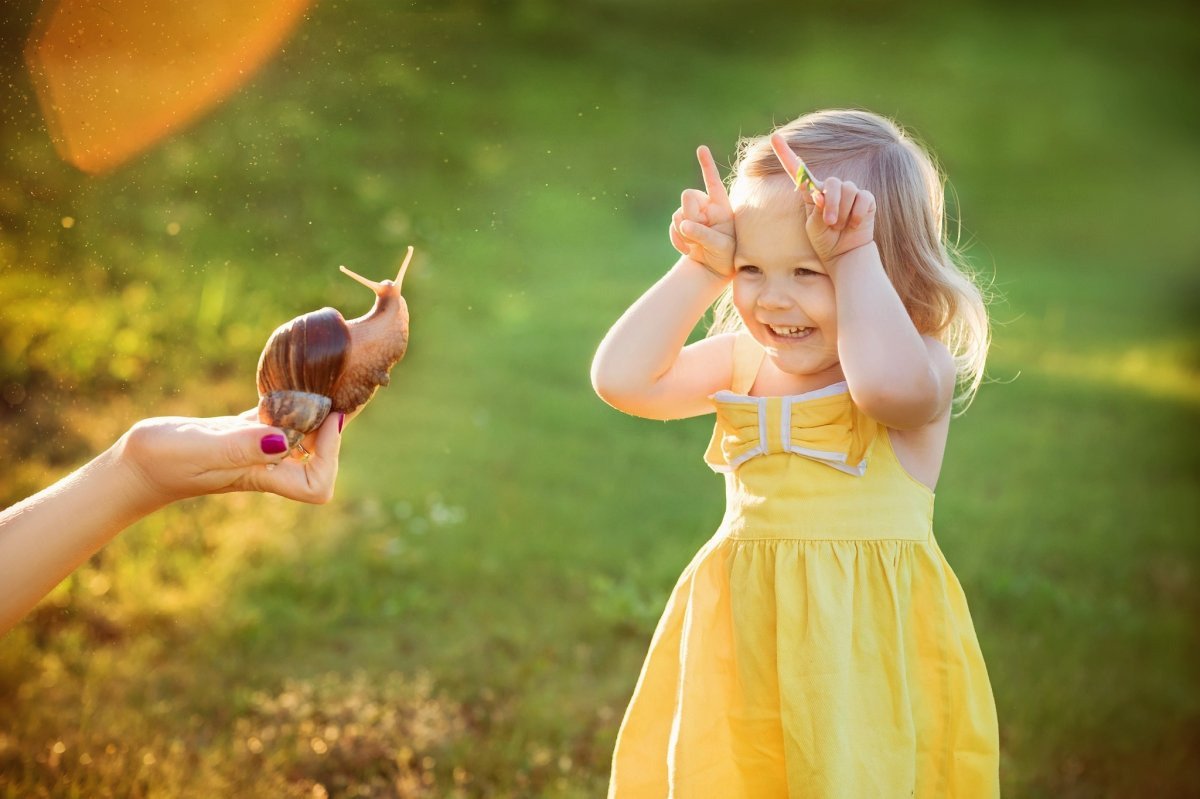 Веселье радость