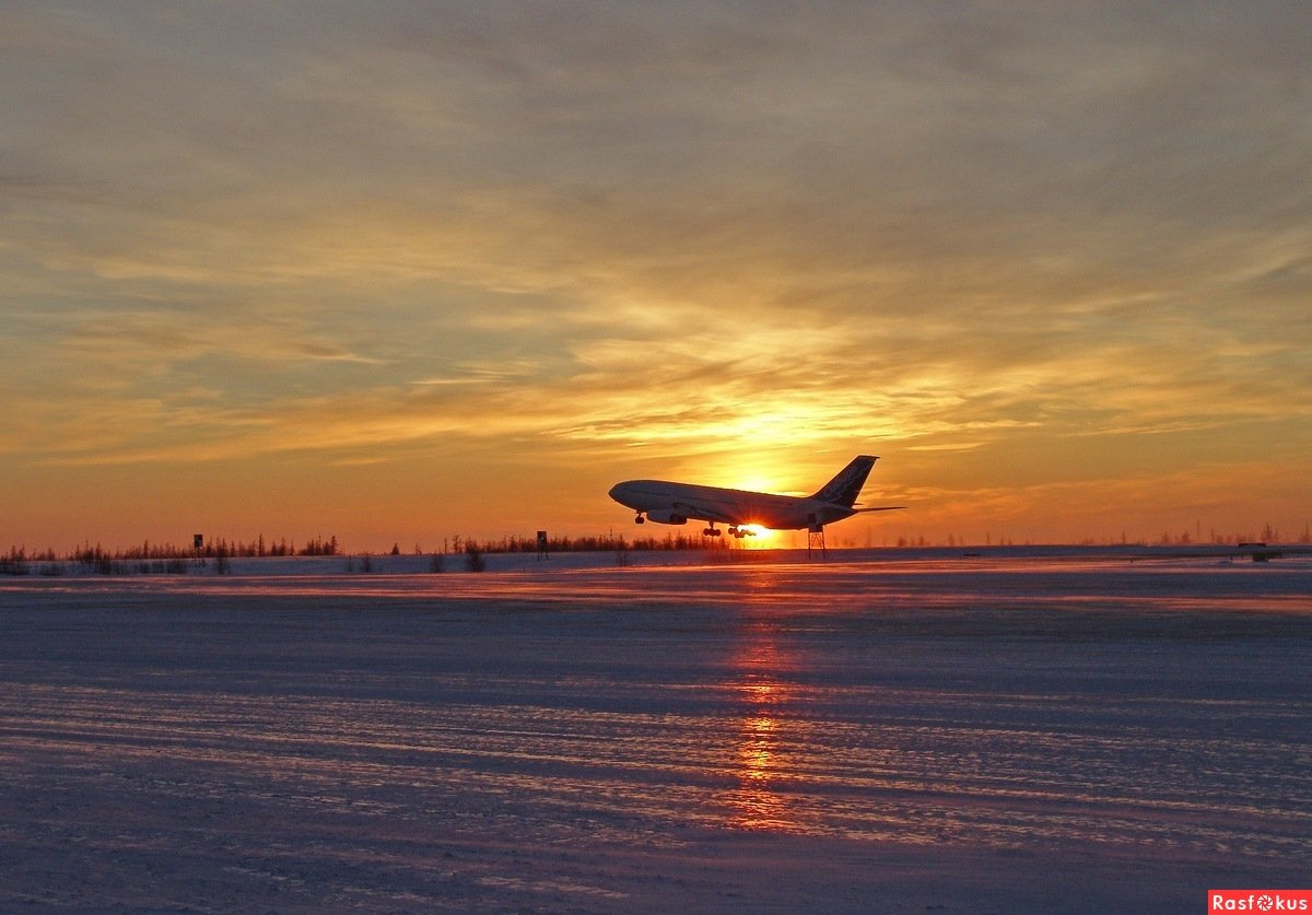 Самолет на Север