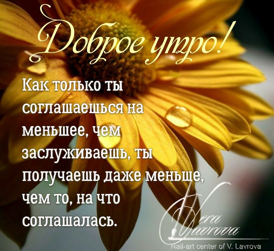 Волчья любовь стихи