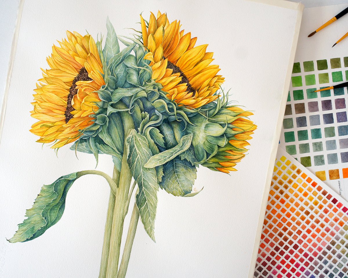 Ботаническая иллюстрация маркерами герберы