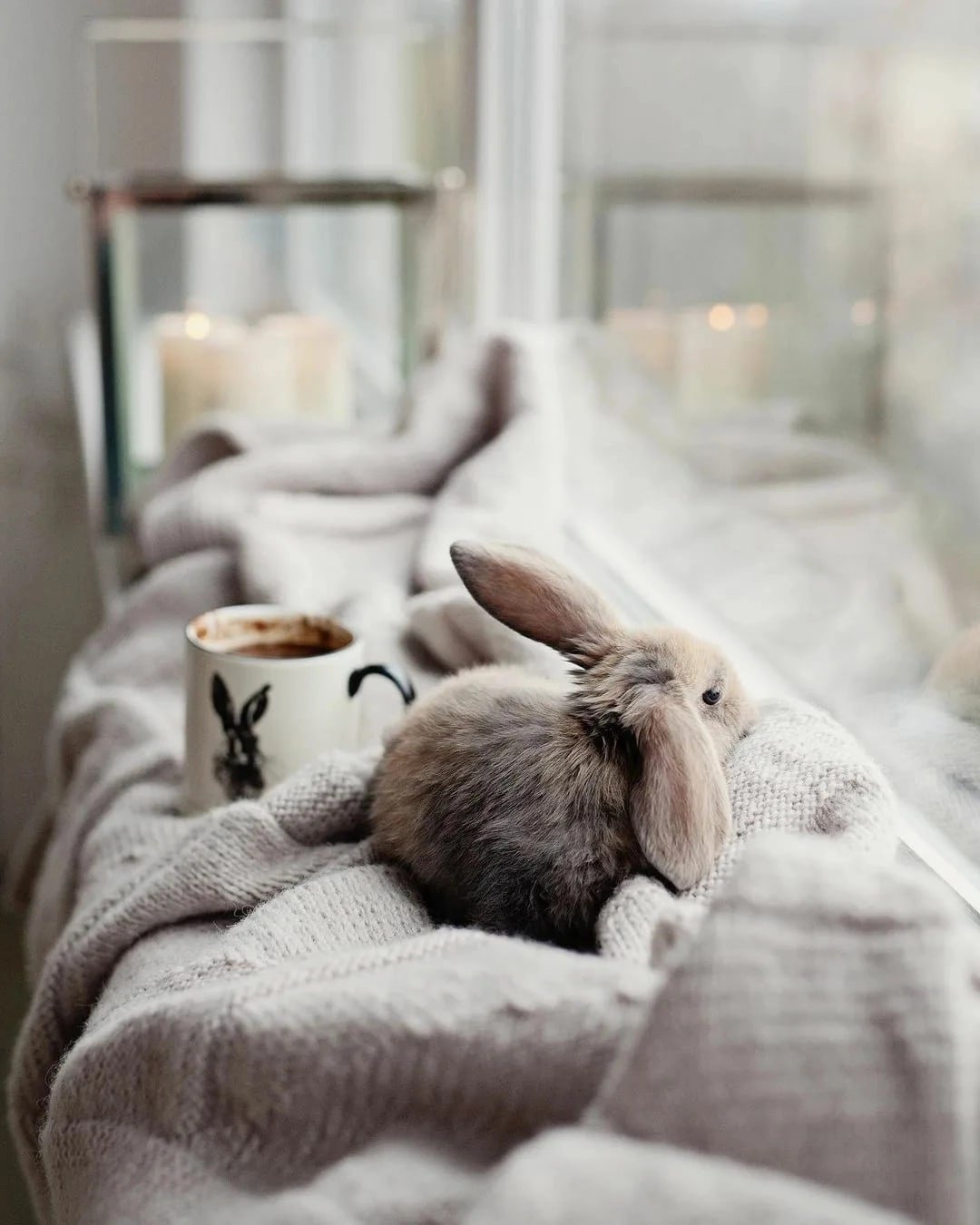 Доброе утро зайчик