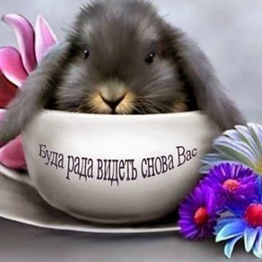 Художник Евгения Соловьева акварель