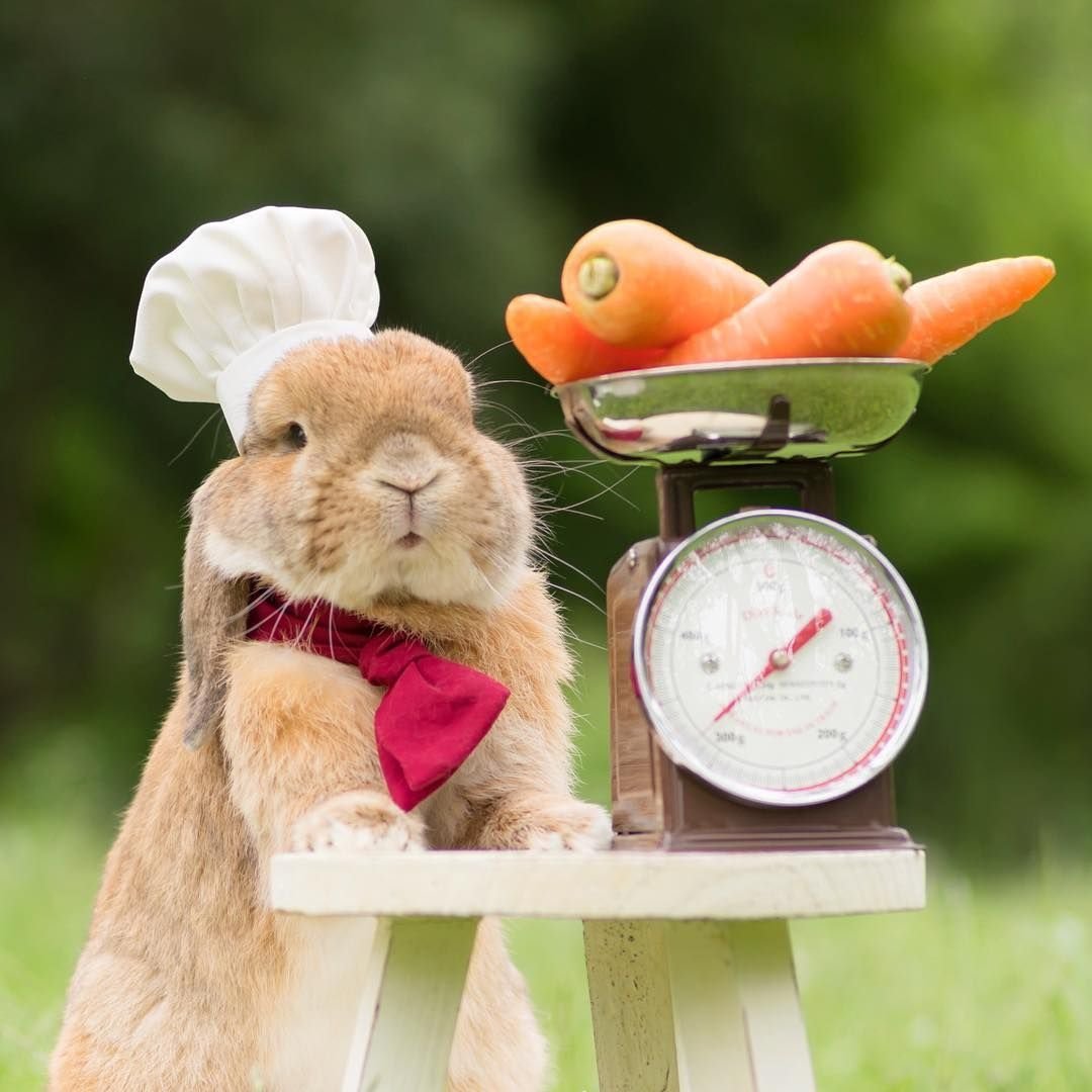 Зайчик проснулся