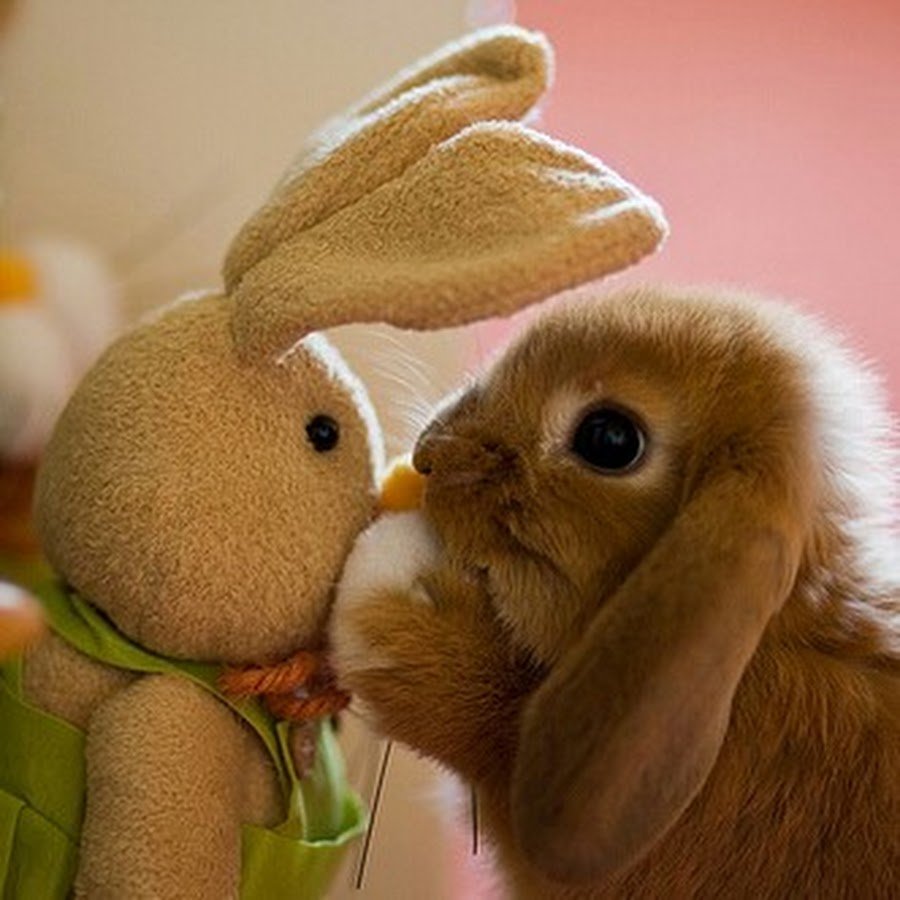 Поздравления с добрым утром вторника