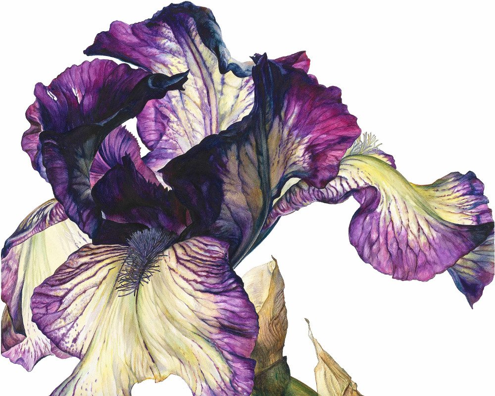 Художница Мари Берк