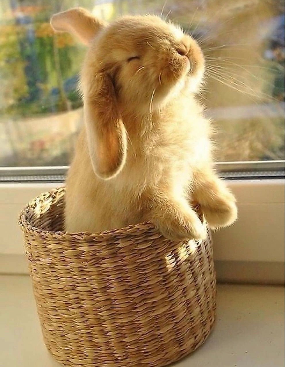 Добрые иллюстрации Элины Эллис