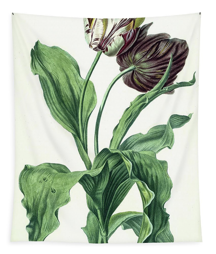 Гнилые цветы illustration