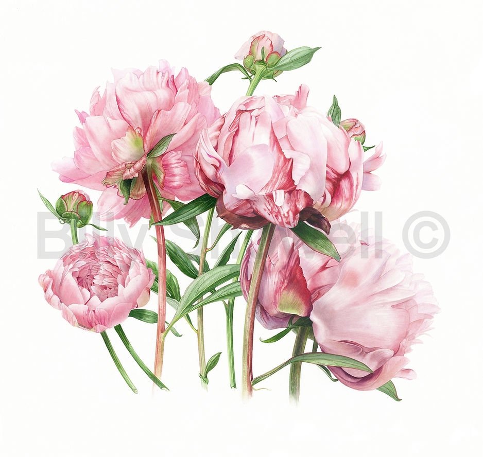 Билли Шоуэлл Ботанические