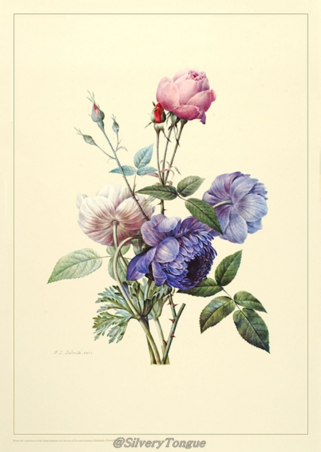 Ботаническая Акварельная живопись Клевер