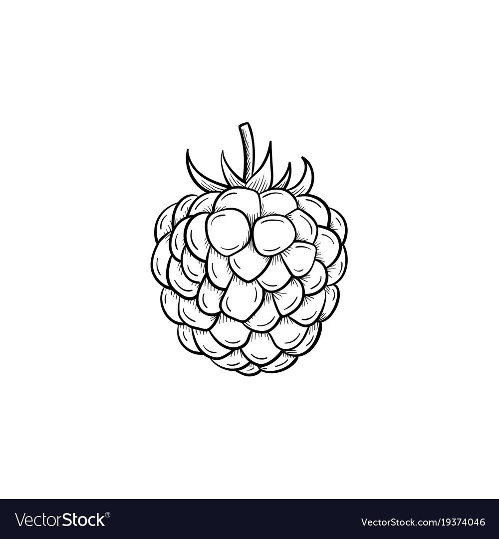 Малина контур