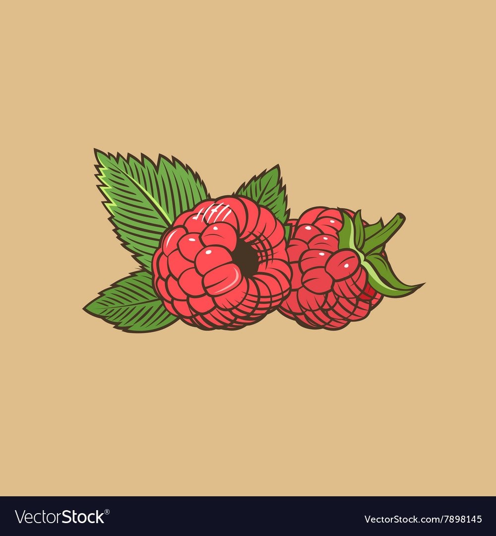 Малина стилизация