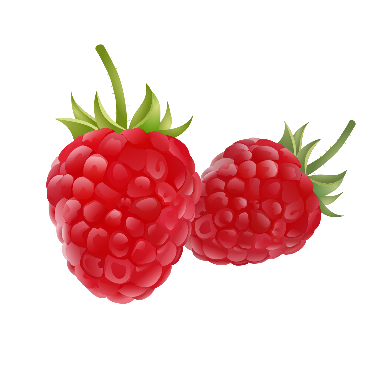 Ягоды по отдельности