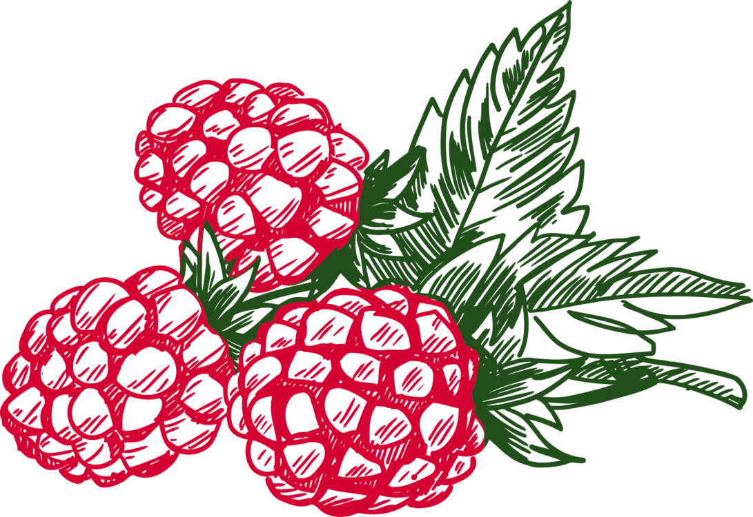 Векторные ягоды