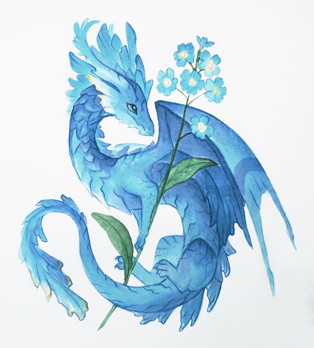 Alvia Alcedo драконы