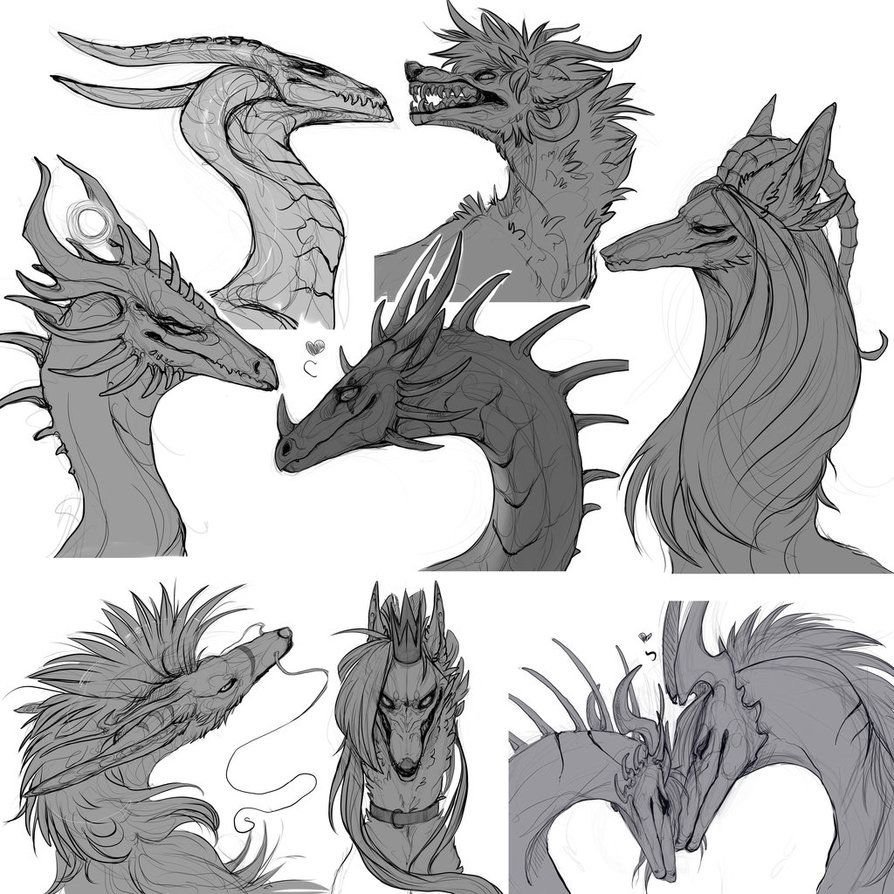 Дракон на белом фоне