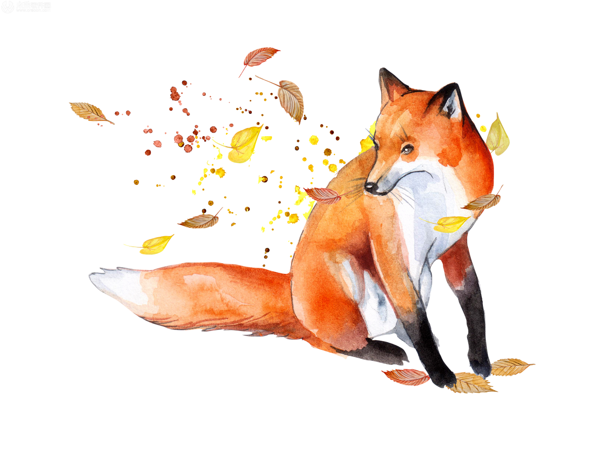 Лиса спит с лисятами