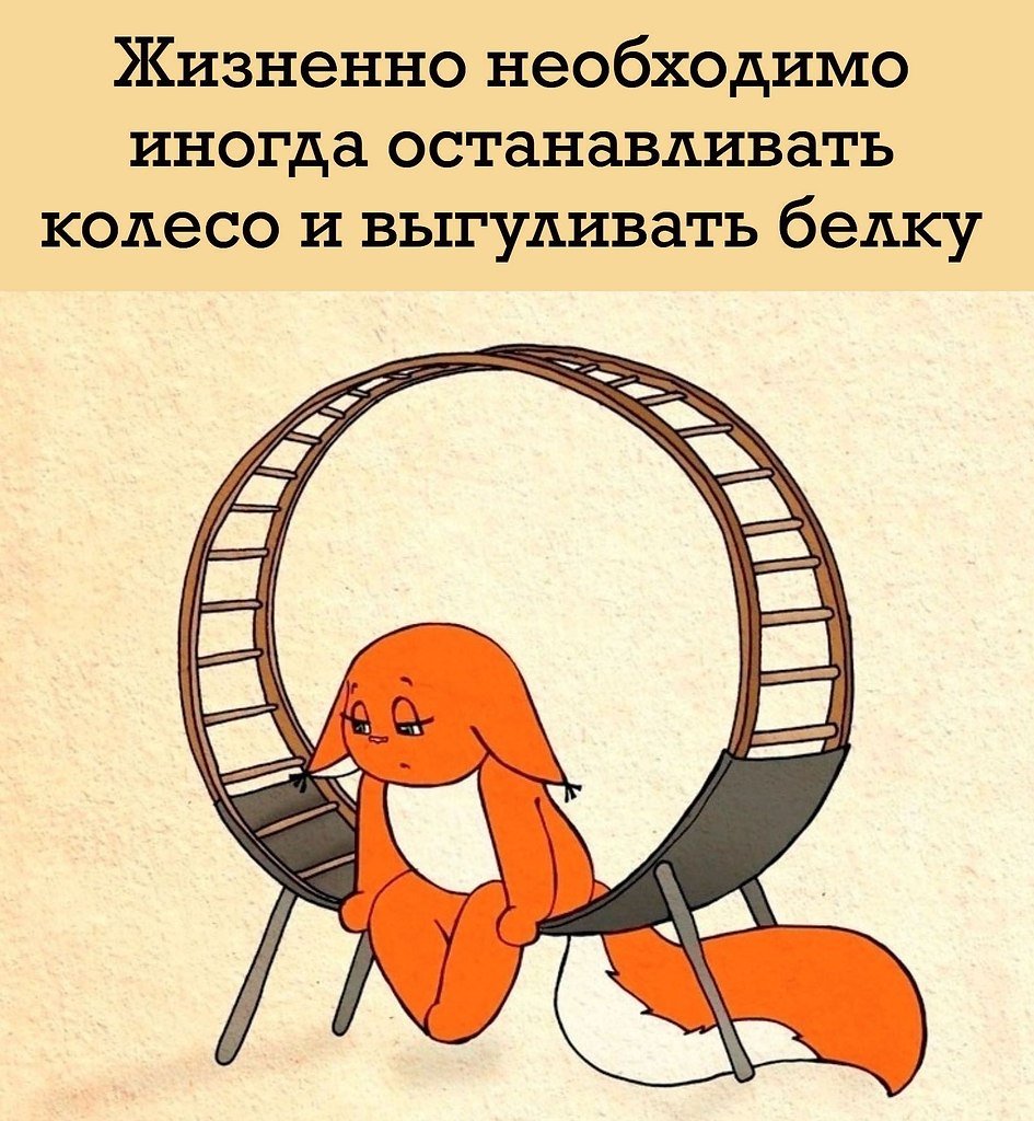 Уставшая белка в колесе