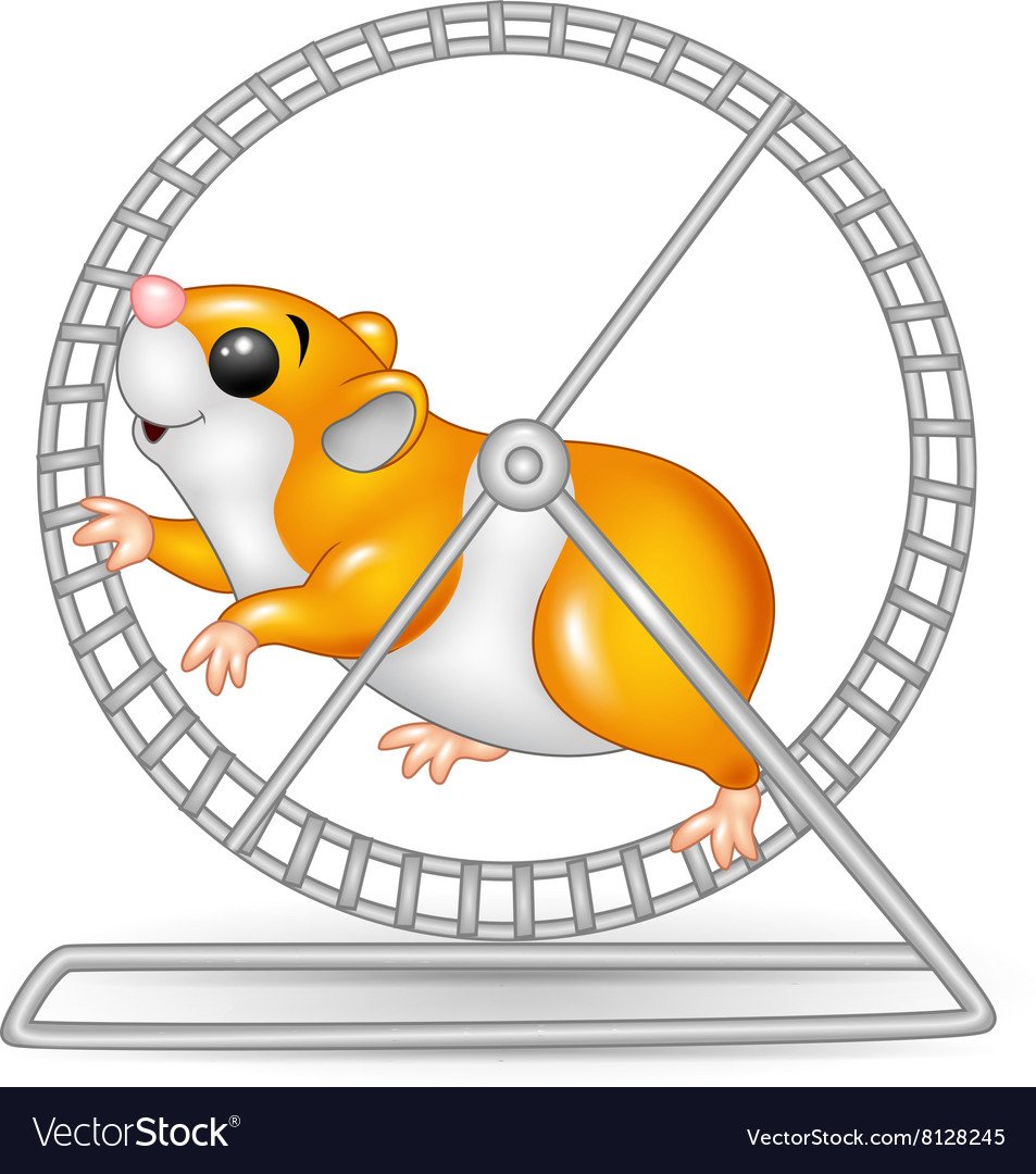 Белка крутится в колесе