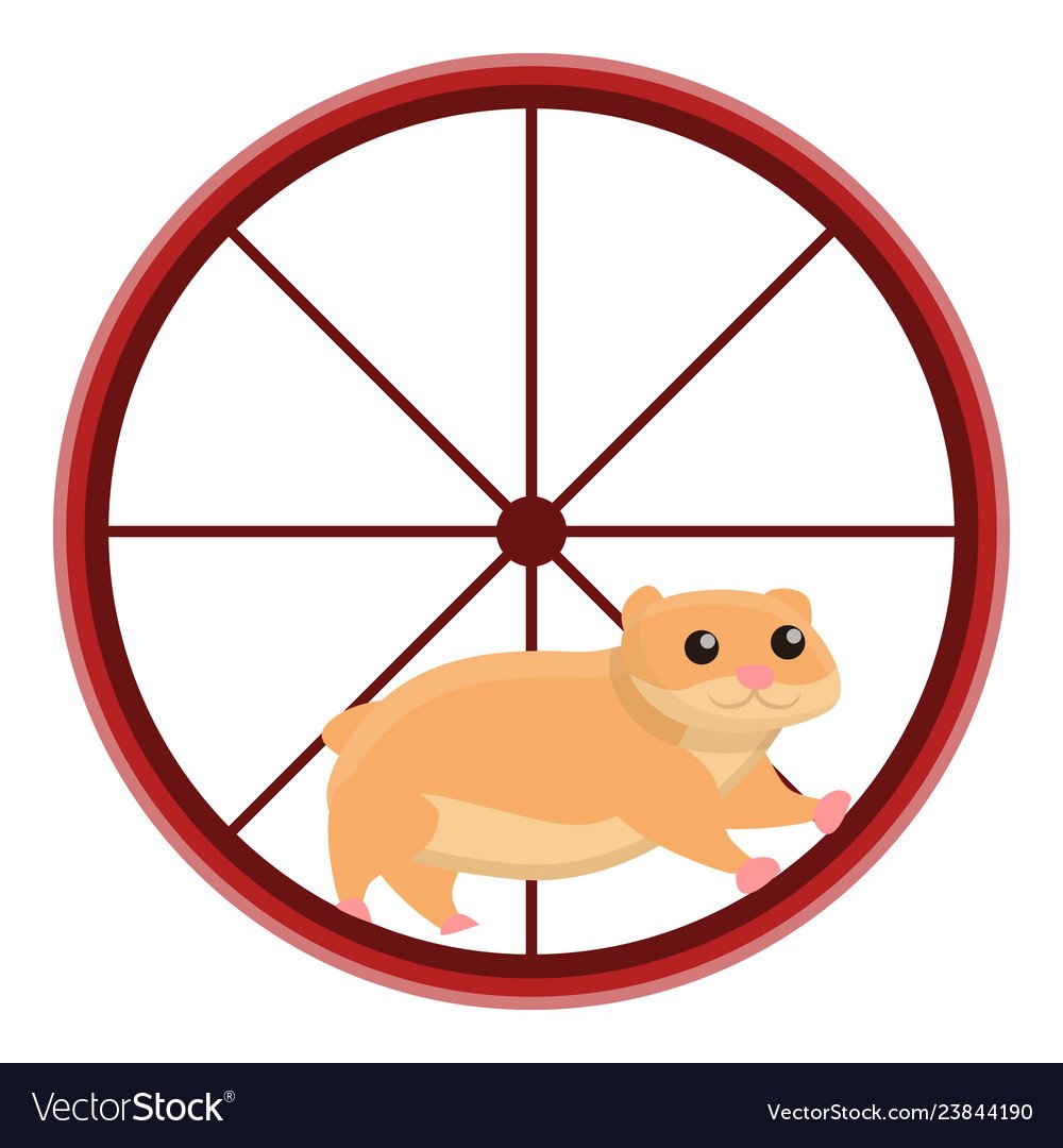 Белка в колесе