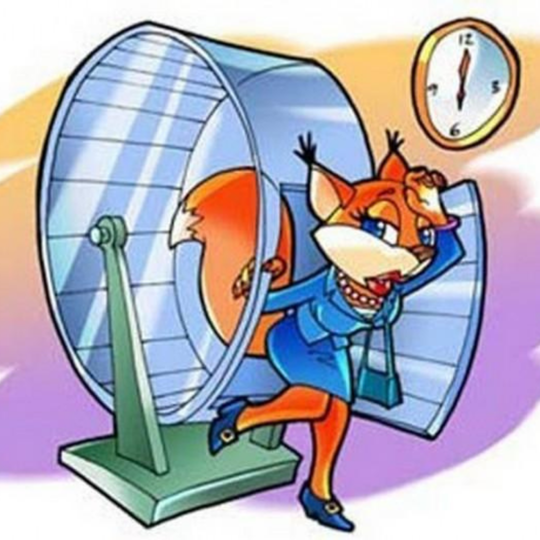 Белка в колесе