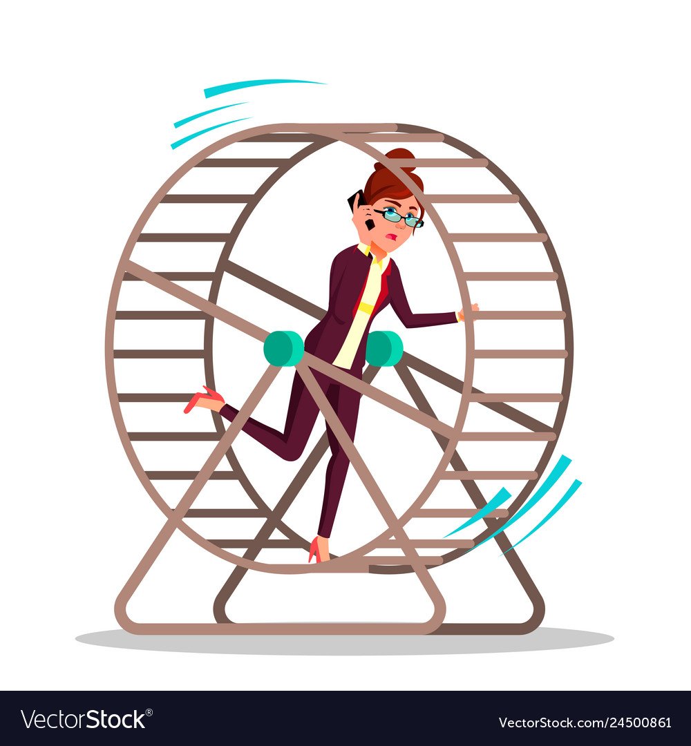 Белка в колесе картинки