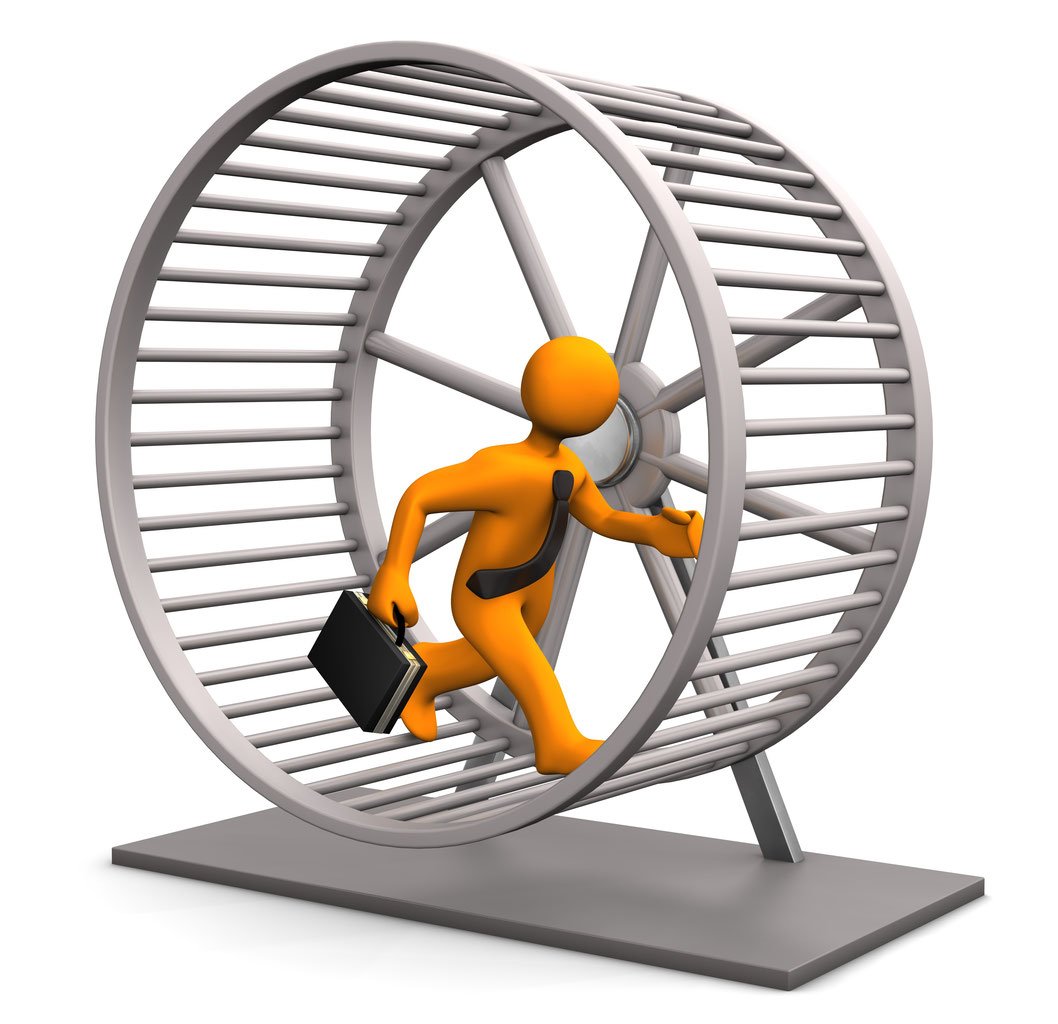 Белка бежит в колесе