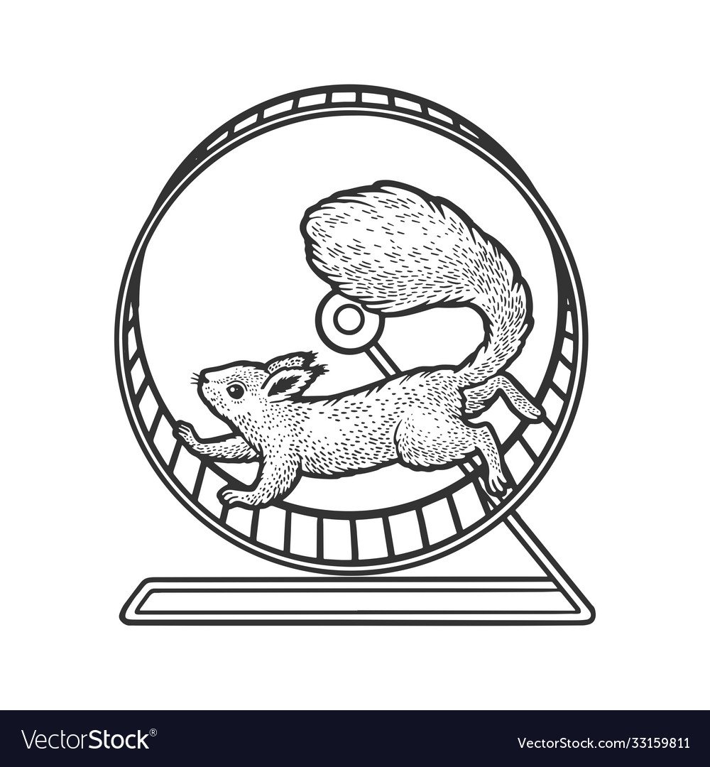 Колесо для хомяка