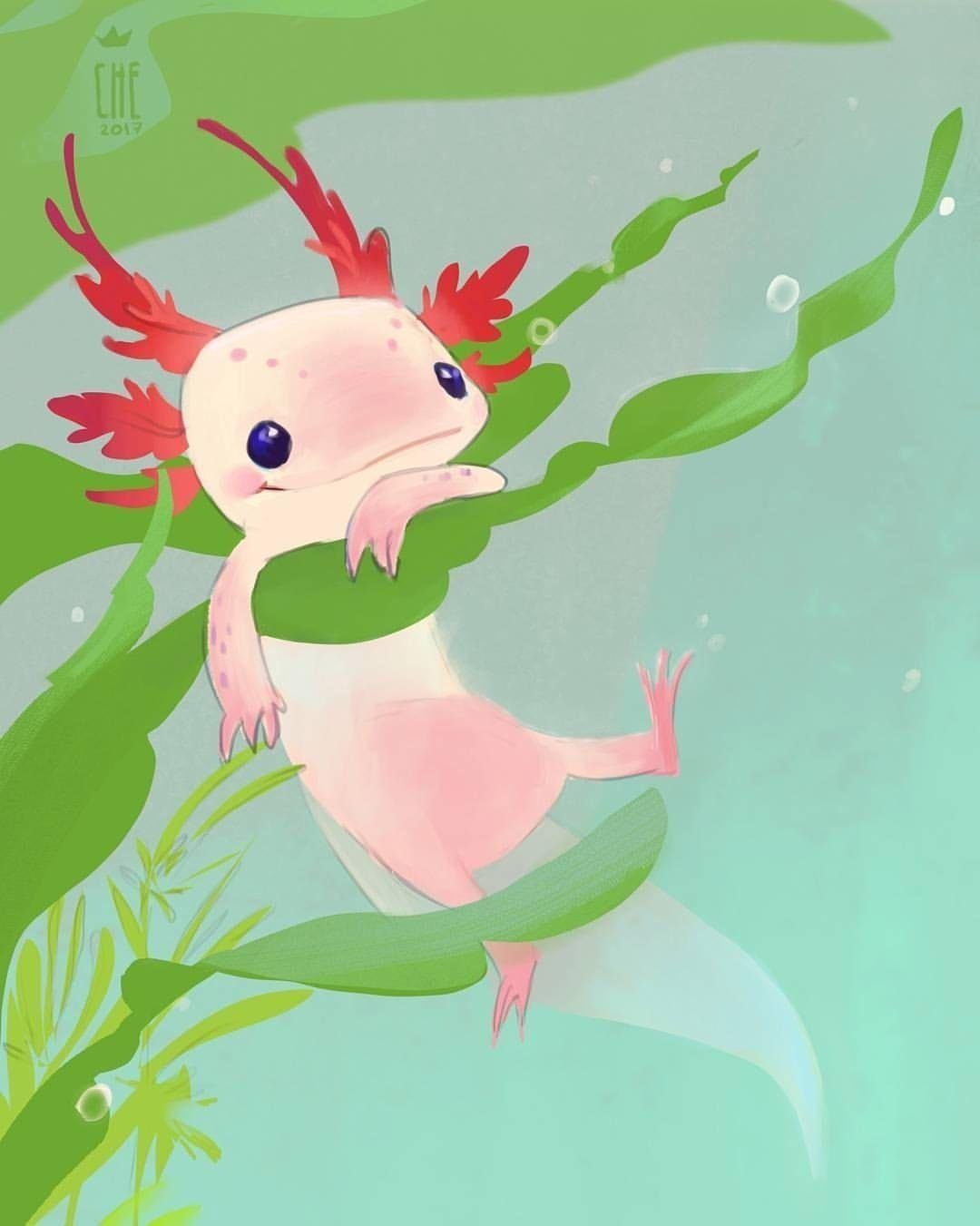 Амбистома альбинос