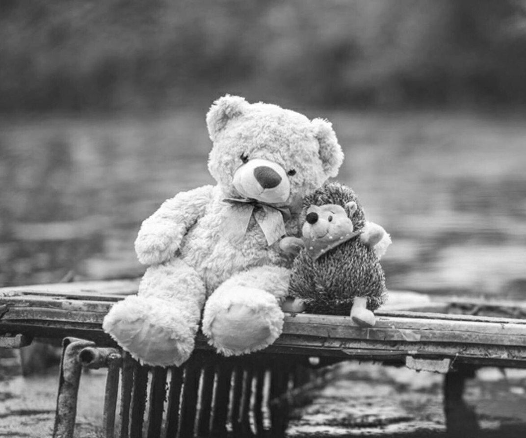 Одинокий Медвежонок