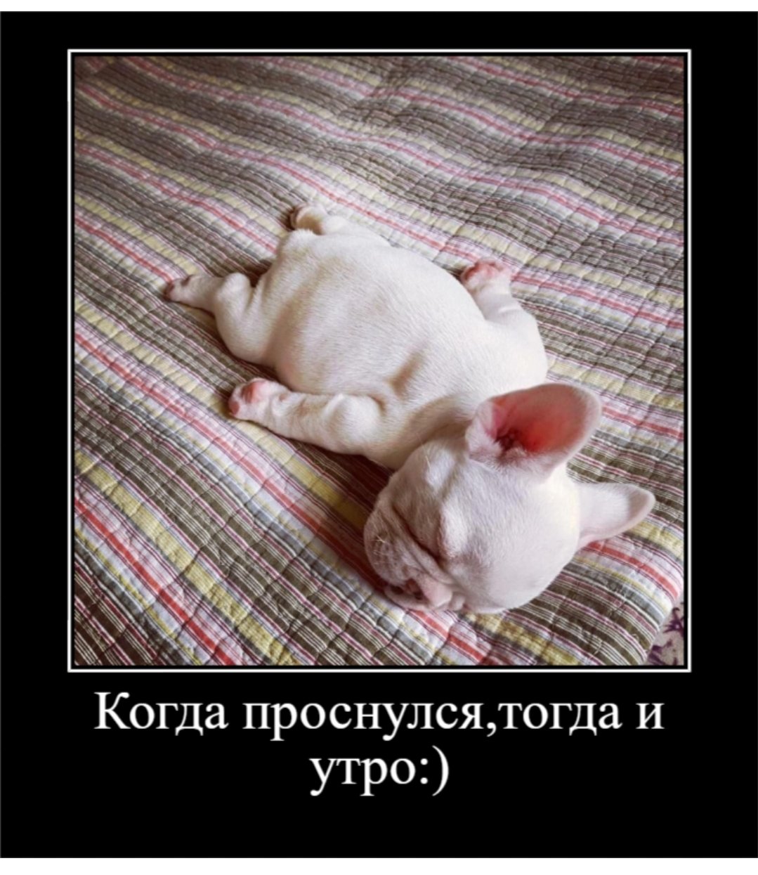 Приколы для поднятия настроения