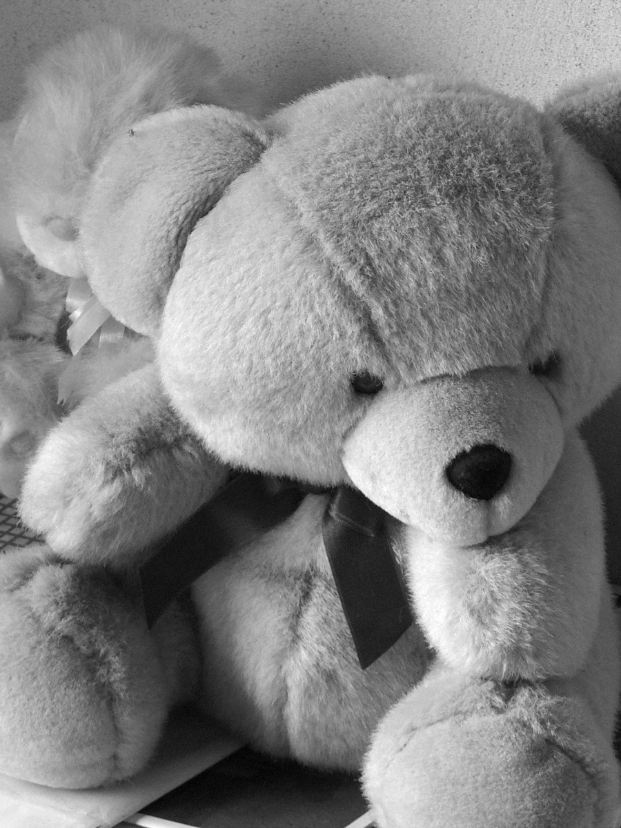 Медвежонок одиночество