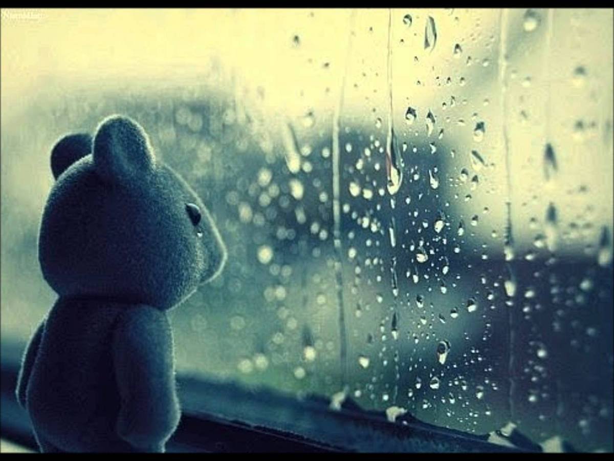 Мишка на берегу