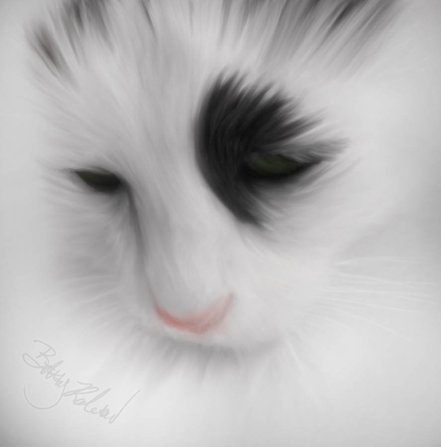 Белый кот с черными глазами