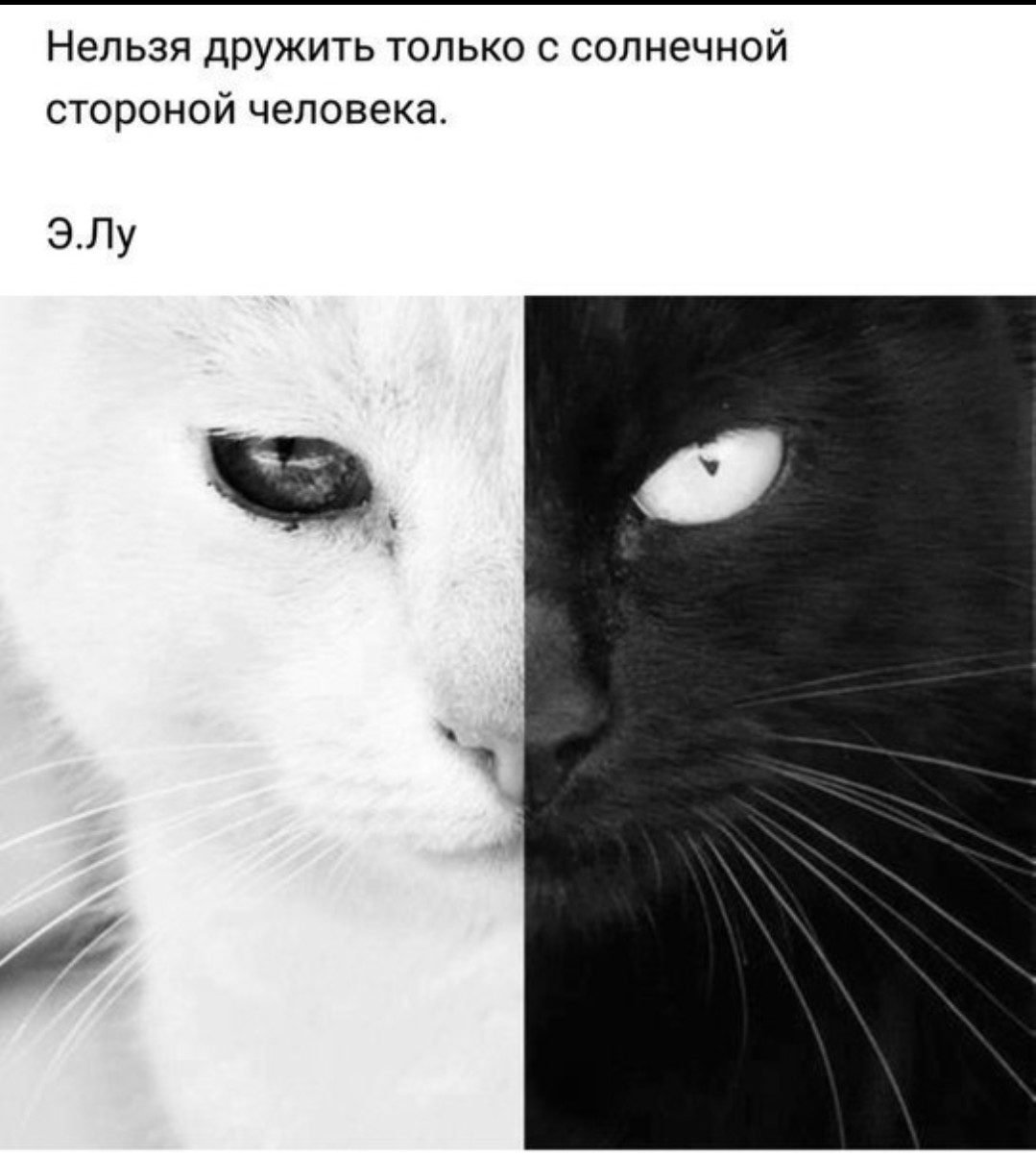 Черное белое