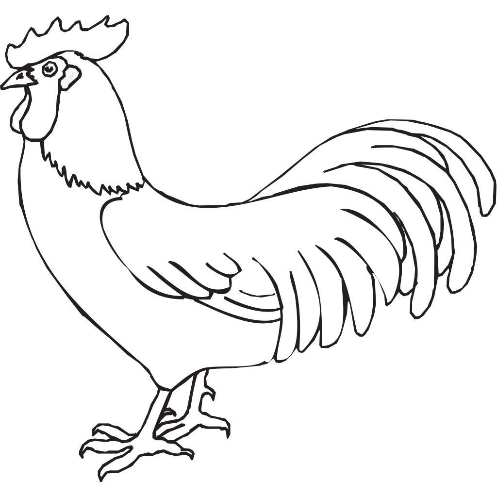Раскраска петушок без хвоста