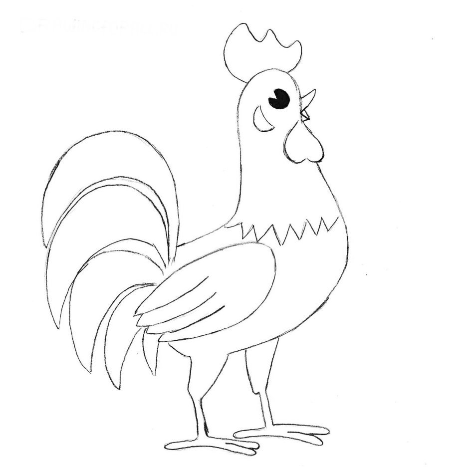 Петух рисунок