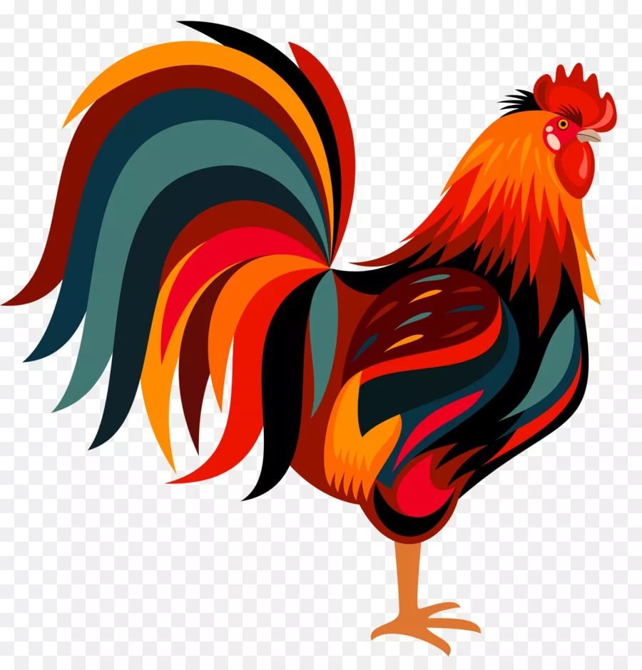 Петушок без хвоста картинки для детей