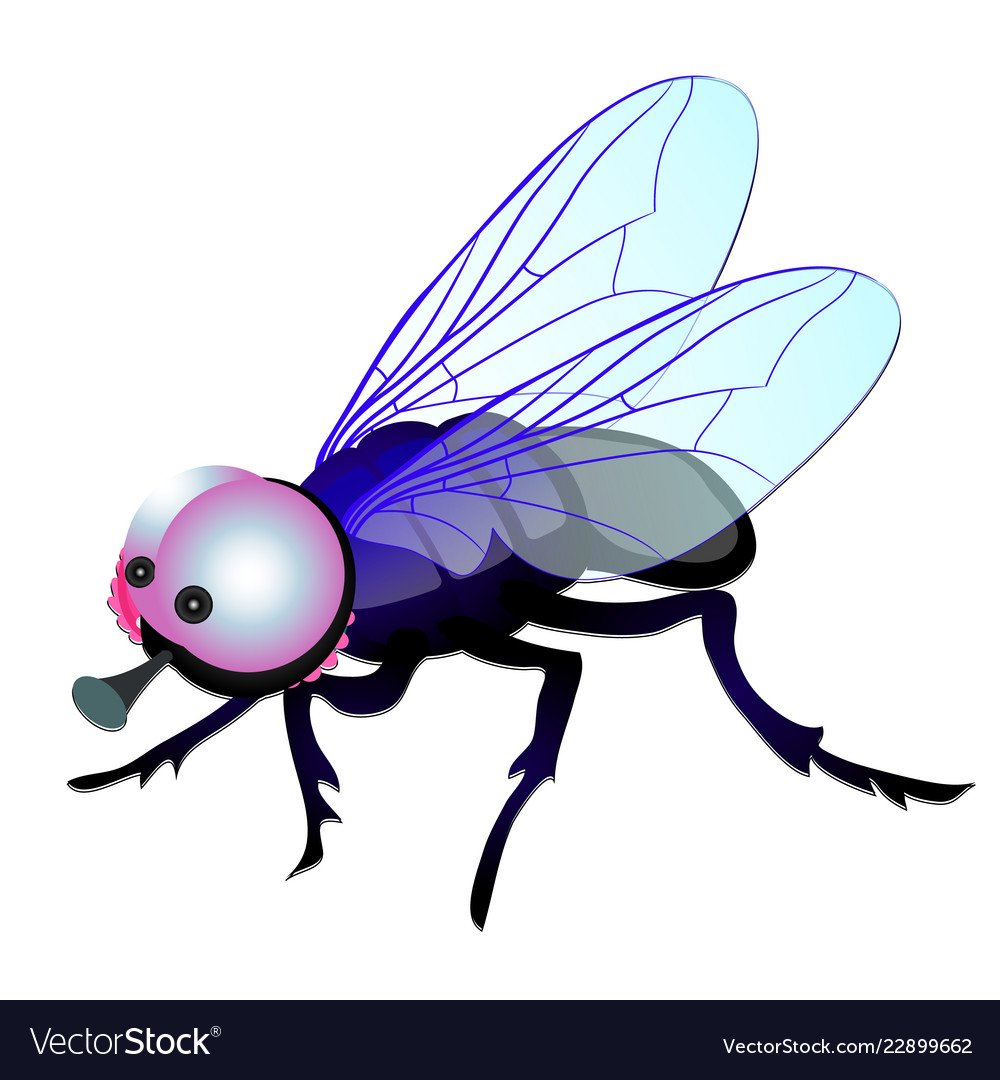 Веселая Муха