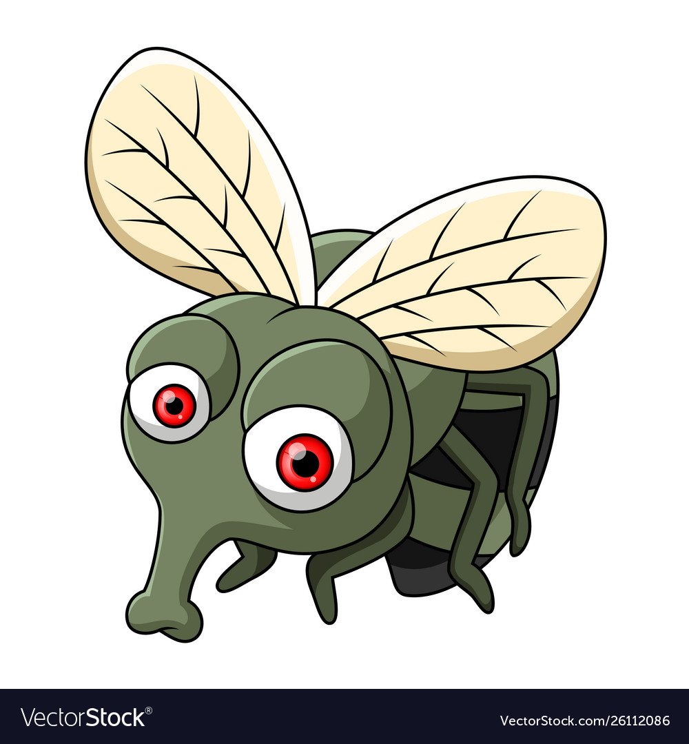 Муха для дошкольников