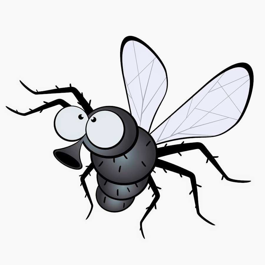 Муха клипарт