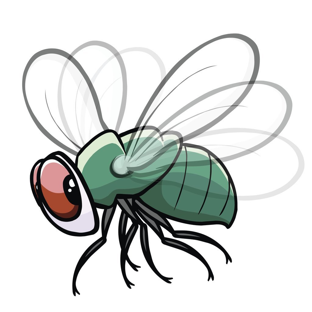 Муха мультяшная
