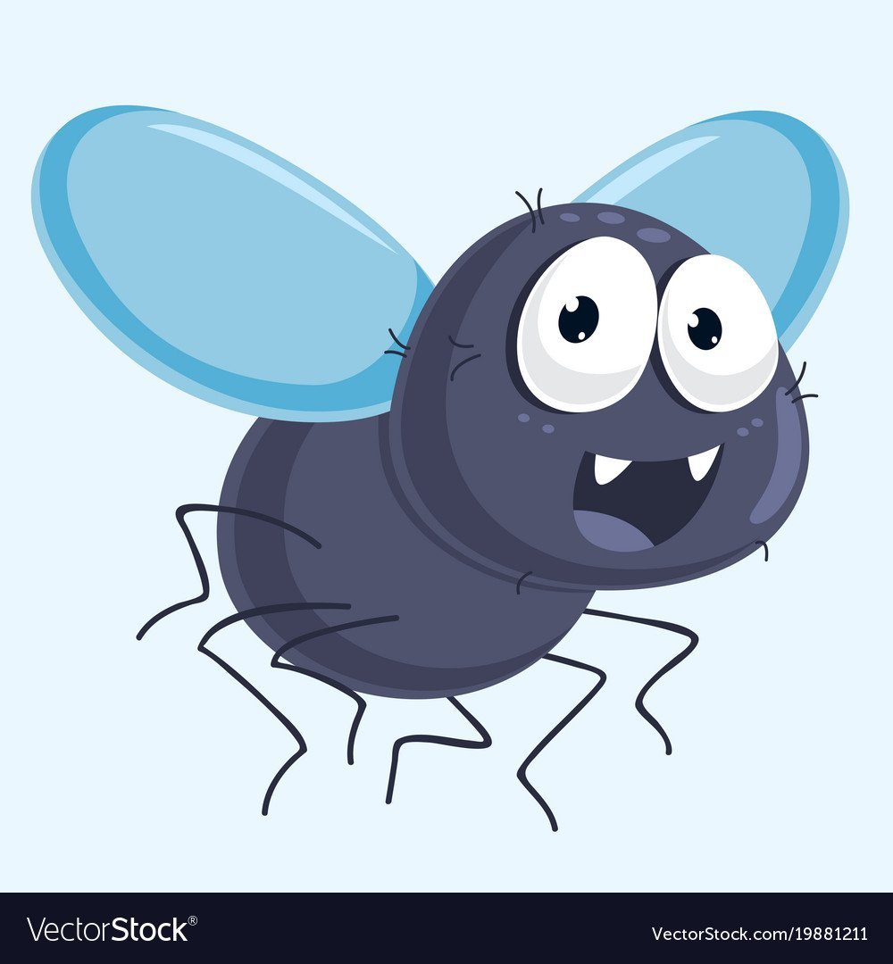 Муха для детей