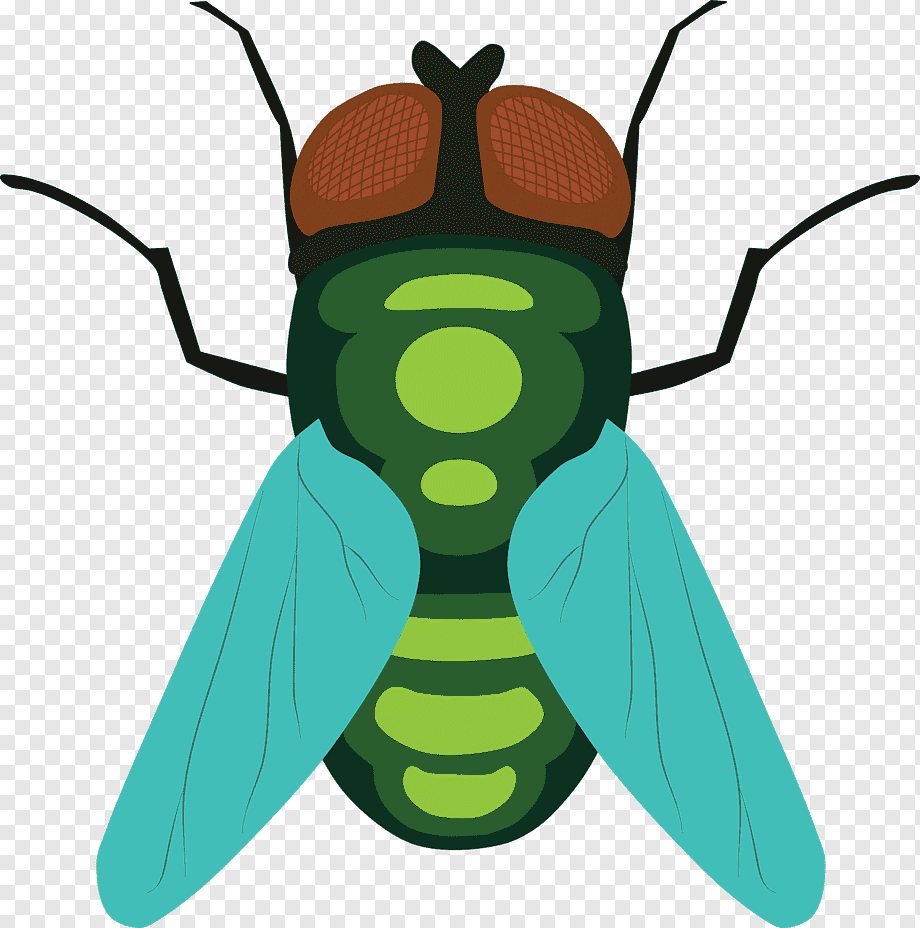 Муха мультяшная