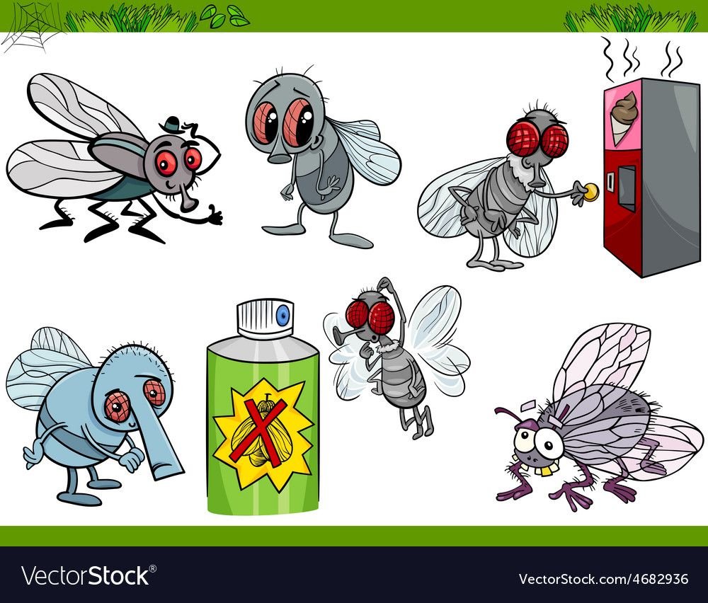 Смайлик мухи в ВК