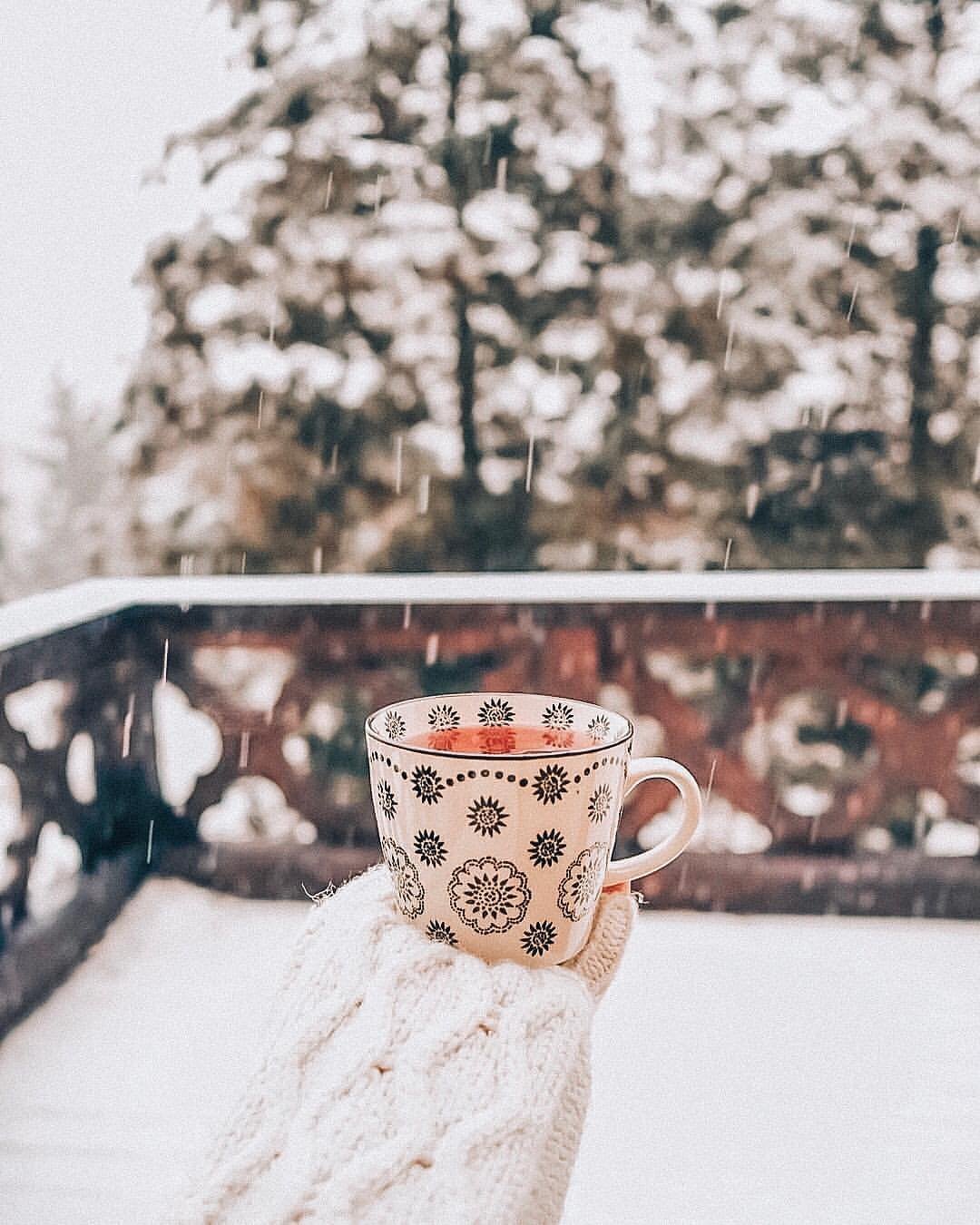 Зимнее чаепитие